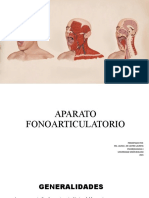 Aparato Fonoarticulatorio