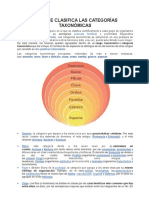 Categorias Taxonomicas