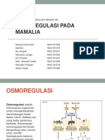 Klp 2_Osmoregulasi Pada Mamalia (PPT)