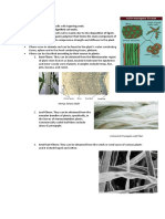 Types and Functions of Plant Fibers and Vascular Cells