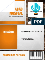 FORMAÇÃO MUSICAL - Aula 2