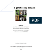Aspectos Geneticos SP Del Gato