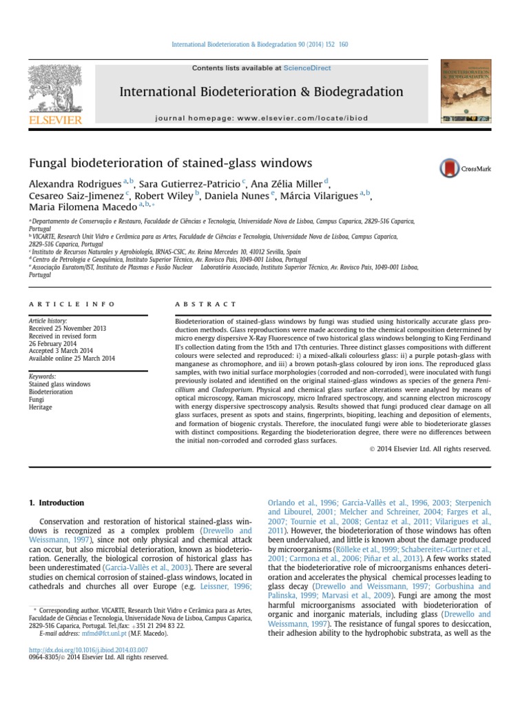 Fungal Biodeterioration of Stained-Glass Windows - 2014 | PDF | Glasses ...