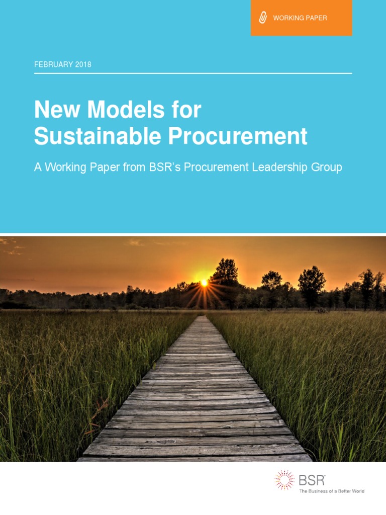 Bsr New Models For Sustainable Procurement Pdf Supply Chain