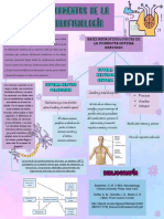 DIAGRAMA