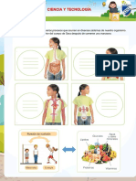 CIENCIA -  5to PRIMARIA_ PARTE 4