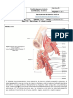 G#3 Sistema Muscular 21