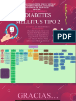 Diabetes Mellitus Tipo 2 - p2 - Mapa