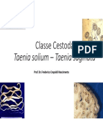 Classe Cestoda - Taenia Solium - Taenia Saginata