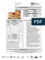 Pizza Napoletana JR PDF