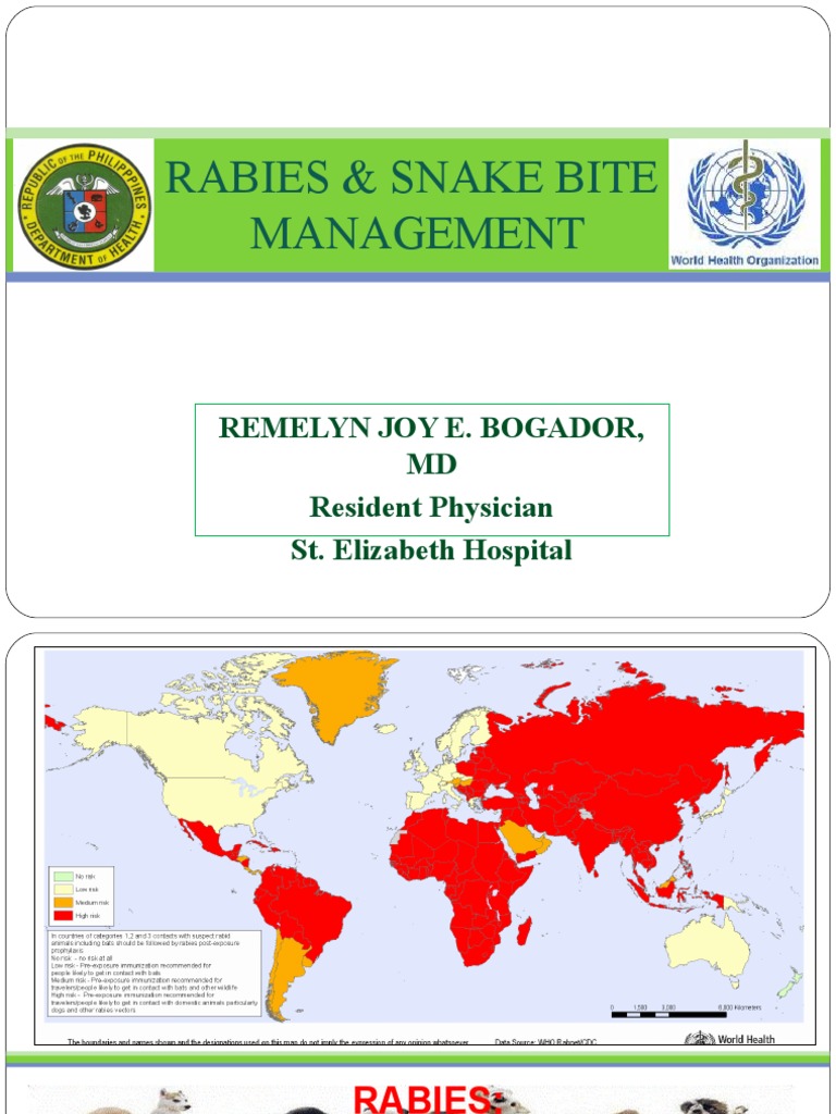 Rabies & Snake Bite PDF Rabies Medical Specialties