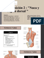 Exposición S2 Anatomía Humana 2 Práctica Ltapiaa-04M01-1