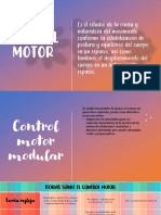 Control Motor