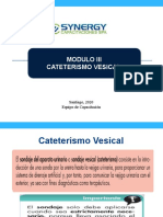 C. Cateterismo Vesical Modulo Iii