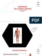 Posición Anatómica Planos Ejes Terminología Con Audio