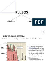 Pulsos arteriales y venosos: ondas del pulso y velocidad