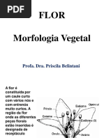 Estruturas e Morfologia da Flor | PDF | Fruta | Flores