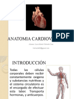 352404883 Anatomia Cardiovascular
