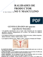 Generalidades de Reproductor Femenino y Masculino