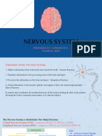 Nervous System Part 1