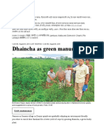 Dhaincha As Green Manure: Krishi O Krishti - , - Jambura, Malta and Golmorich Chash - RTV Lifestyle