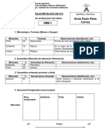 PEÑA CORREA - SEXTA DESCRIPCION DIFERENTES YACIMIENTOS