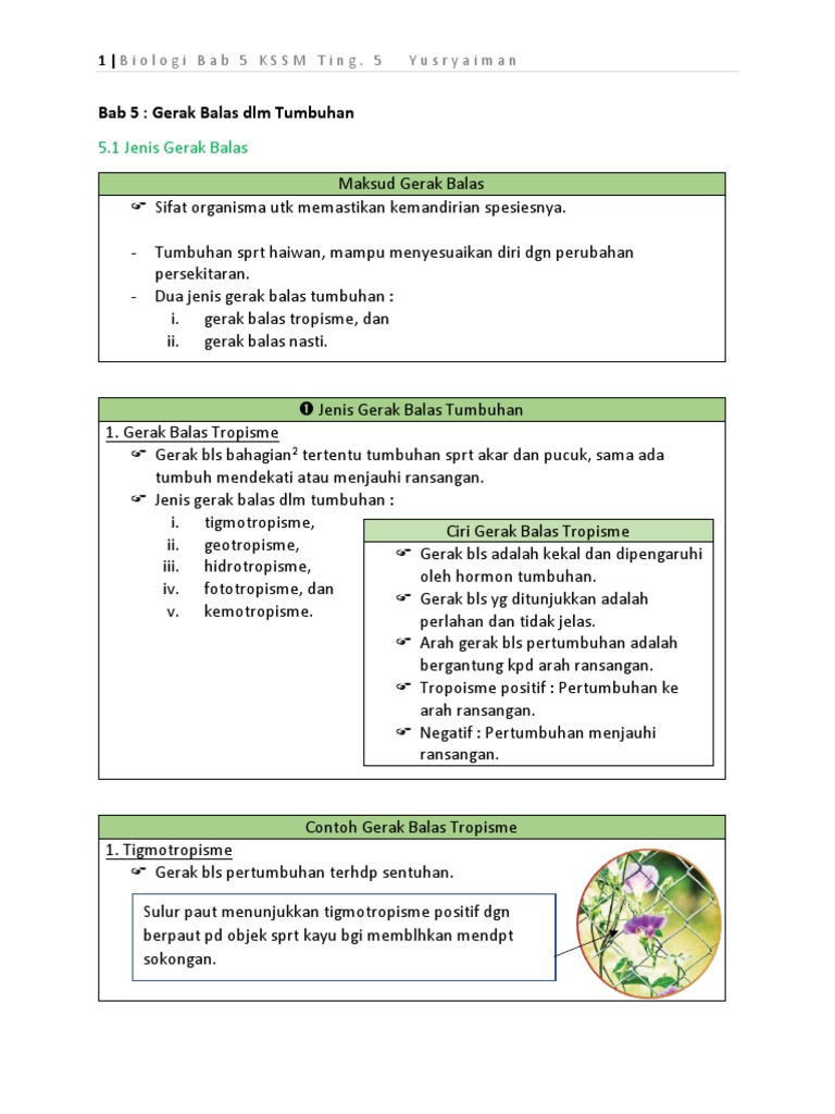 Bab 5 Bio KSSM T5 | PDF | Kesehatan Holistik