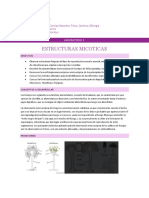 Guia de Laboratorio n.4 Estructuras Micoticas