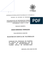 'Adán Borunda Terrazas - Maestría en Ciencia de Materiales