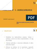 P3 Hidrocarburos