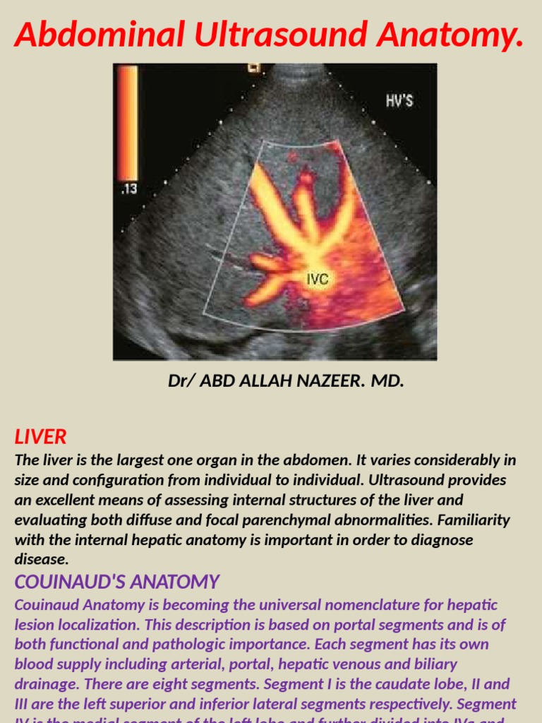 Abdominal Ultrasound Anatomy Overview | PDF | Liver | Gastrointestinal ...