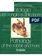 1 A Color Atlas & Compendium, Pathology of The Rabbit and Hare (Eng & Ita)