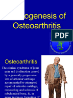 Pathogenesis of OA 7-17-4