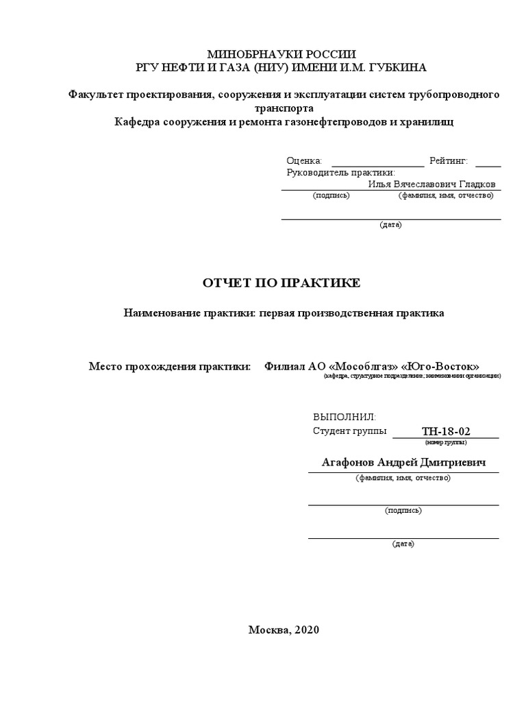 Otchet 2020 | PDF
