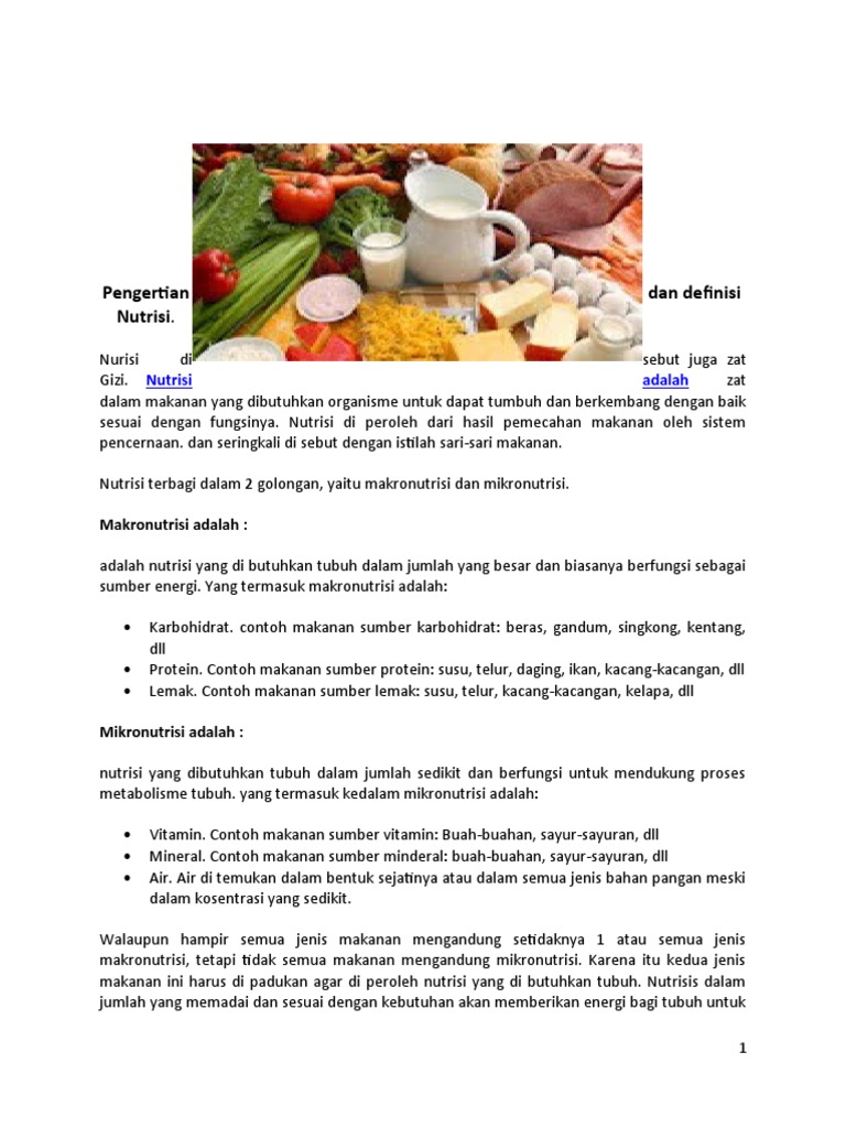 1 Konsep Dasar Nutrisi Pdf