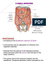 Small Intestine MMC