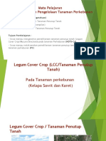 Legum Cover Crop (LCC) FIX