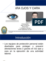 Exposición Epp Ojos y Cara Ultimo