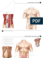 Atlas Regionum 2011 - Abdomen