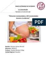Alimentos Recomendados y No Recomendados en Embarazo