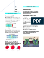 Fisiologia do transporte ativo e passivo celular