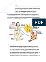 Anatomi Fisiologi Sistem Limfatik