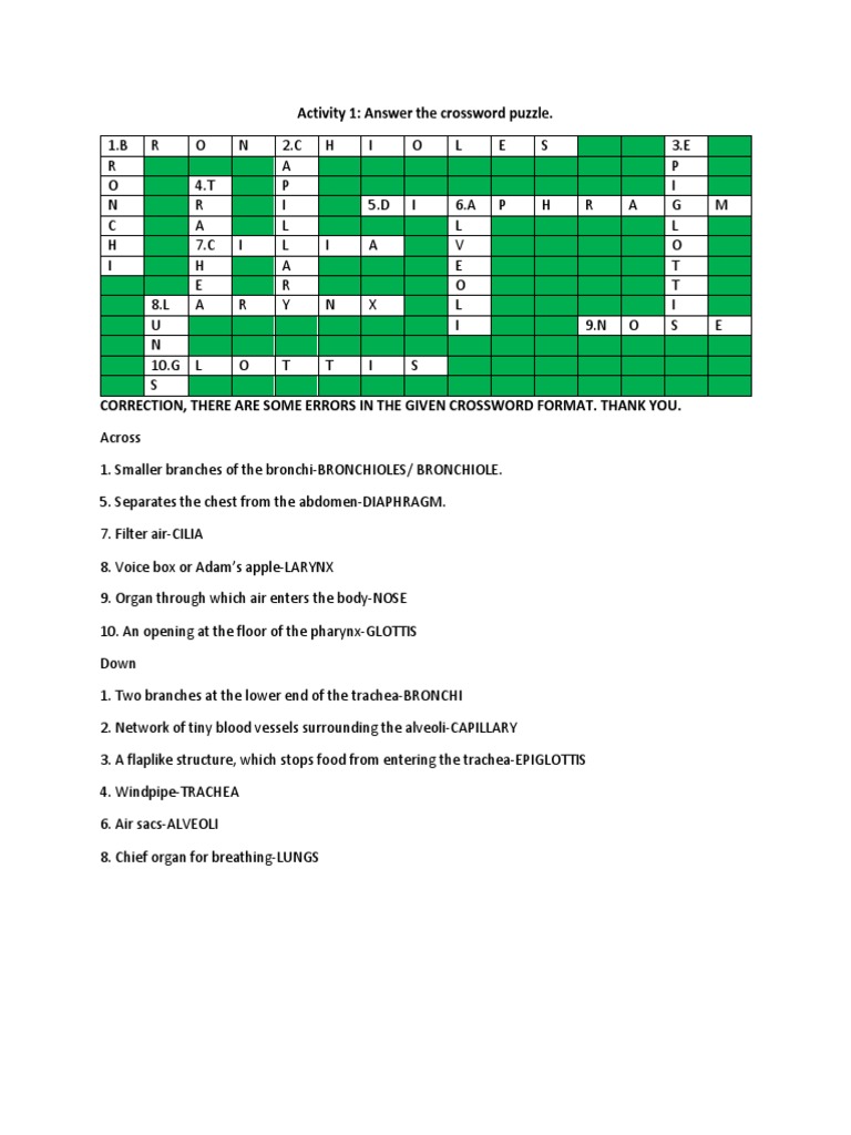Grade 8 Crossword Puzzle on Breathing | PDF