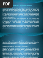 Fisiología de La Secreción Gástrica