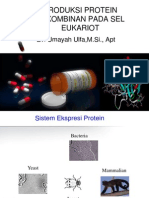 Sistem Ekspresi Pada Eukariot