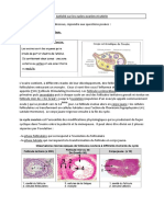 Activité Sur Les Cycle Ovarien Et Utérin