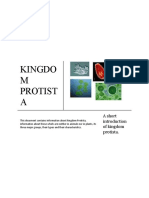 Kingdo M Protist A: A Short of Kingdom Protista