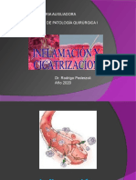 Cicatrizacion e Inflamacion 181212175714