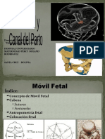 Movil Fetal y Canal Del Parto