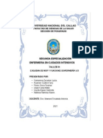 Esquema de Manual de Organización y Funciones Enf Uci